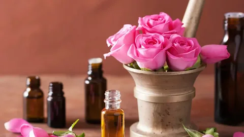 گلاب نیاسر با غلظت ملایم و رایحه طبیعی گل